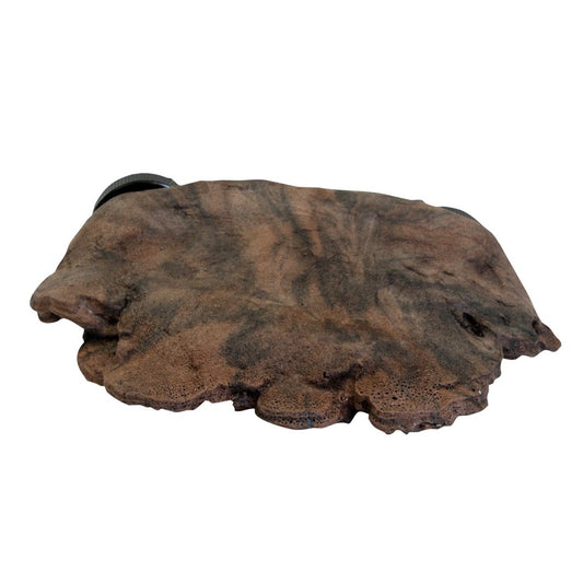 Magnaturals Mushroom Ledge - Small Animals & Pet Supplies > Pet Supplies > Small Animal Supplies > Small Animal Habitat Accessories Pet-Tekk   