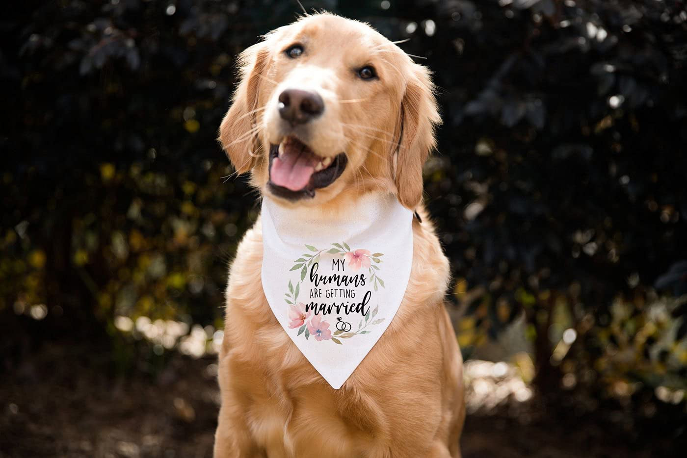 YHTWIN My Humans Are Getting Married Funny White Wreath Pattern Cotton Triangle Dog Bandana Scarf, Pet Dog Engagement Wedding Announcement Photo Props Accessories for Pet Dog Lovers Gifts Animals & Pet Supplies > Pet Supplies > Dog Supplies > Dog Apparel YHTWIN   