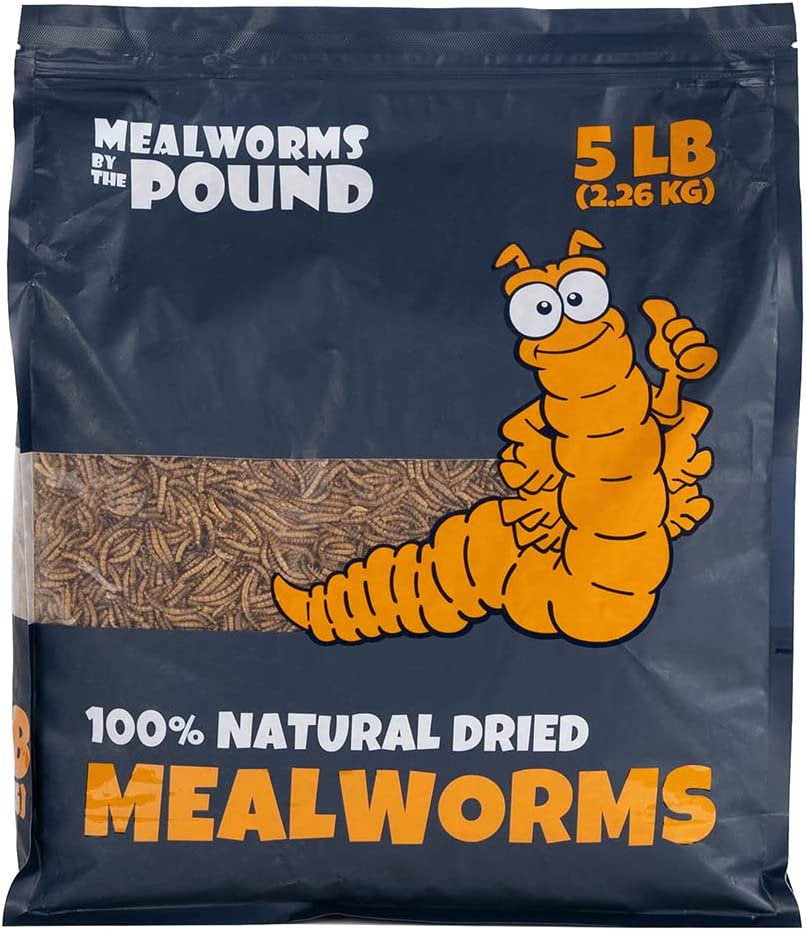 MBTP Bulk Dried Mealworms - Treats for Chickens &Amp; Wild Birds (5 Lbs) Animals & Pet Supplies > Pet Supplies > Bird Supplies > Bird Treats Mealworms by the Pound   