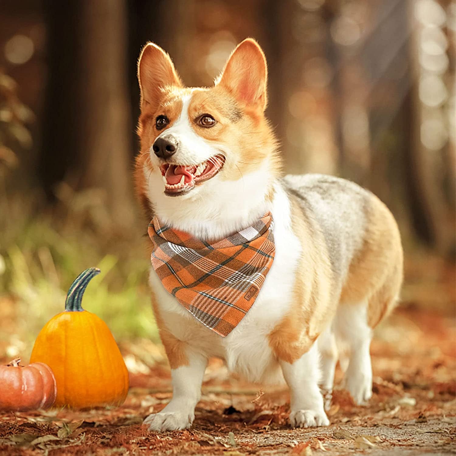 Malier 2 Pack Fall Dog Bandana Halloween Thanksgiving Plaid Dog Bandanas, Holiday Pet Reversible Scarf Bibs Accessories Costumes for Small Medium Large Dogs and Cats Animals & Pet Supplies > Pet Supplies > Dog Supplies > Dog Apparel Malier   