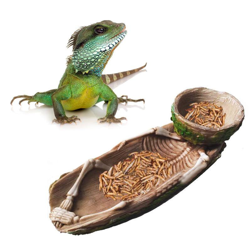 GRJIRAC Skeleton Reptile Food Bowl Amphibian Pet Bearded Dragon Cage Rock Decoration Water Injection Humidification Function Animals & Pet Supplies > Pet Supplies > Reptile & Amphibian Supplies > Reptile & Amphibian Food GRJIRAC   