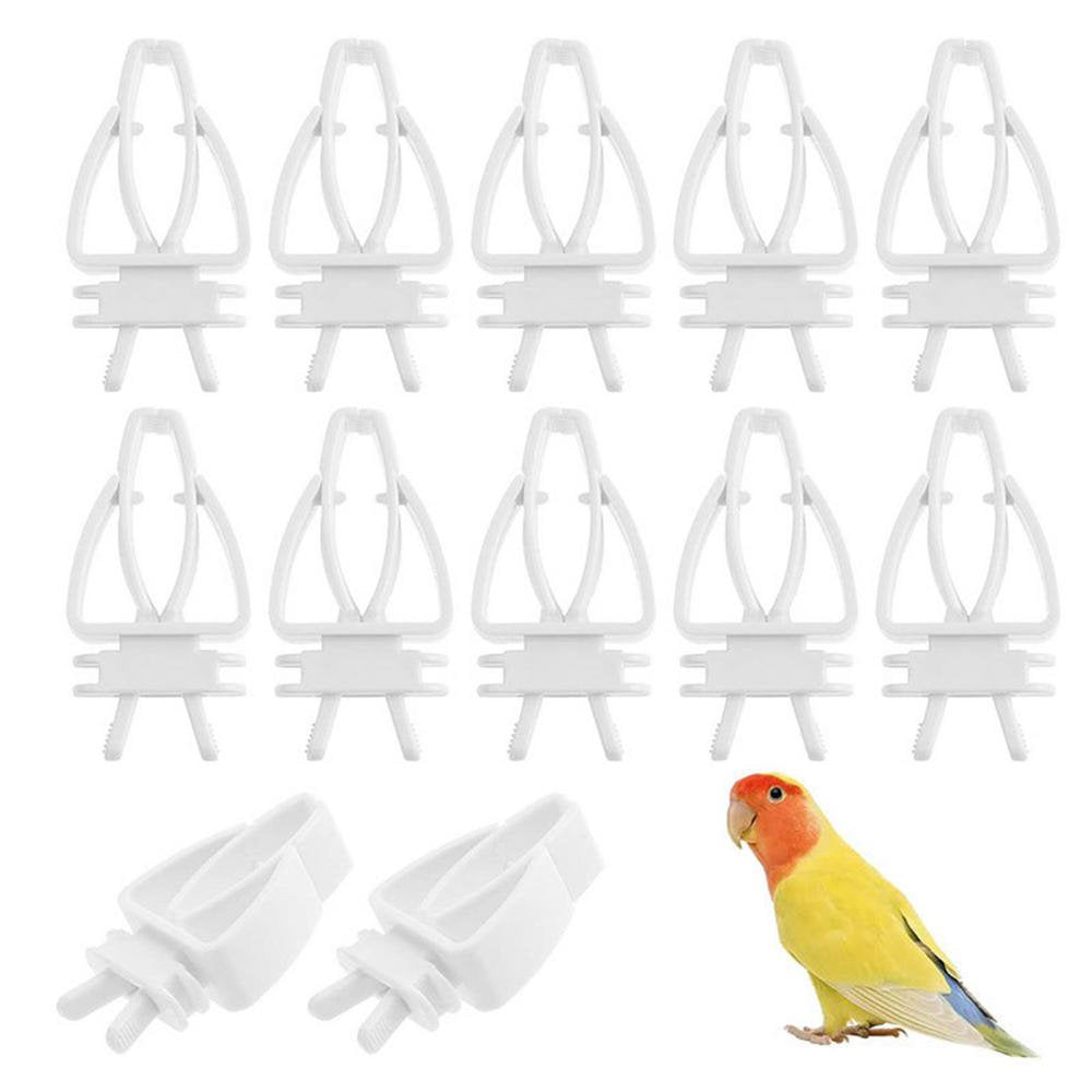 IMSHIE Parrot Food Clips, Bird Cage Food Holder, Parakeet Cage Accessories, Food Feeder Clip for Bird Budgie Parakeet Cockatoo Macaw Cockatiel Conure, White Very Well Animals & Pet Supplies > Pet Supplies > Bird Supplies > Bird Cage Accessories IMSHIE   