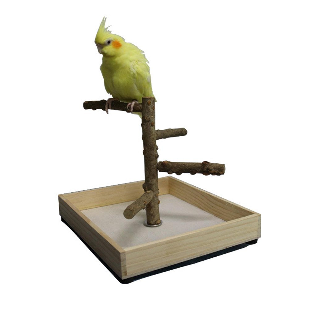 Bird Tabletop Training Stand Perch, Portable Parrot Play Stands, Natural Wooden Bird Gym Playground for Small Medium Parakeets Cocktails Conures Finch , 23X26X20Cm Animals & Pet Supplies > Pet Supplies > Bird Supplies > Bird Gyms & Playstands FITYLE   