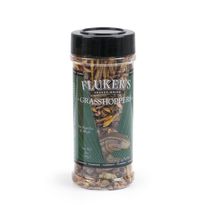 Fluker'S Freeze-Dried Grasshoppers Reptile Turtle Snake Lizard Food, 1 Oz Animals & Pet Supplies > Pet Supplies > Reptile & Amphibian Supplies > Reptile & Amphibian Food Fluker's 1 oz  