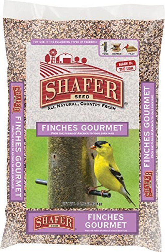 Shafer Seed Finches Gourmet Bird Food, 8 Pounds Animals & Pet Supplies > Pet Supplies > Bird Supplies > Bird Food SHAFER SEED COMPANY   