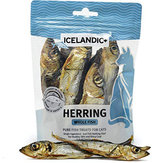 Icelandic+| All-Natural Cat Treats| Whole Fish Herring, 1.5 Oz., Grey Animals & Pet Supplies > Pet Supplies > Cat Supplies > Cat Treats Icelandic+   