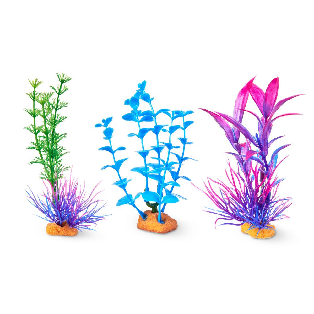 Aqua Culture Aquarium Plant Value Pack, 4" Small Plants, 3 Count
