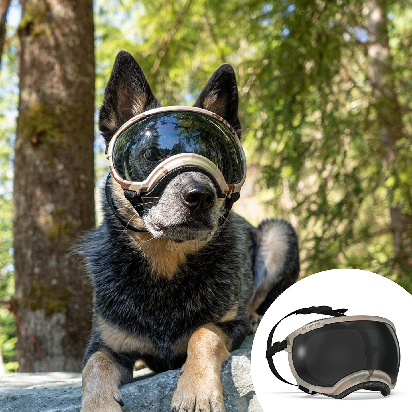 Rex Specs V2 Dog Goggles (Large, Tazer Teal) Animals & Pet Supplies > Pet Supplies > Dog Supplies > Dog Apparel Rex Specs Camo Large 