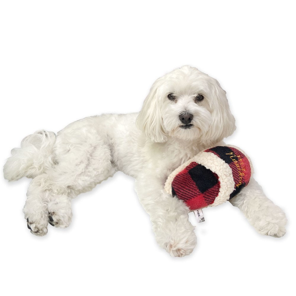 Vibrant Life Holiday Slipper Dog Toy with Squeaker for Light to Moderate Chewing Animals & Pet Supplies > Pet Supplies > Dog Supplies > Dog Toys Vibrant Life   