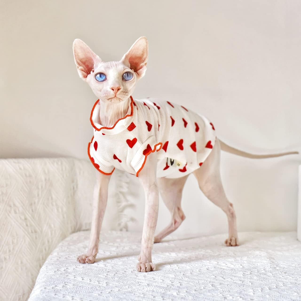 Clothing for Sphynx Cats | LV Pajamas for Cats, Two Styles Pajamas