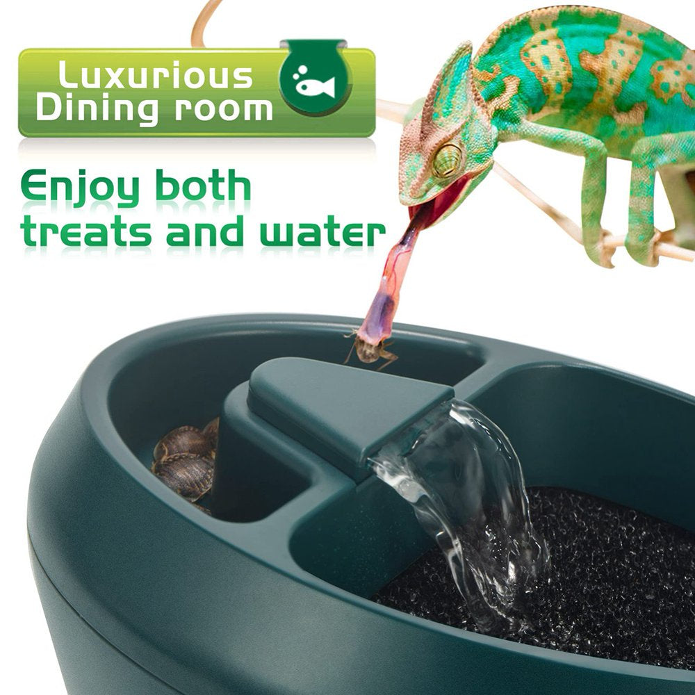 Reptile Chameleon Cantina with Snacks Trough, Drinking Fountain Water Dripper for Amphibians Insects Lizard US Plug