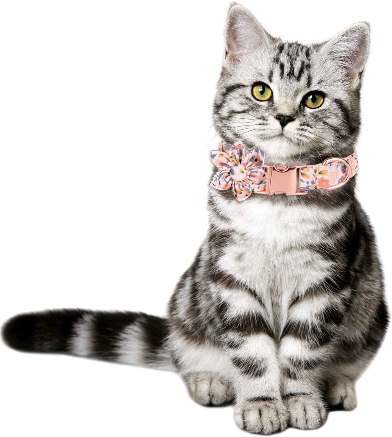 Bow Tie for Cats Breakaway 3 Adjustable Sizes Personalized Dog Collars with Flower Tie Cotton Girls Dog Collar with Metal Buckle Puppy Collars Animals & Pet Supplies > Pet Supplies > Dog Supplies > Dog Apparel HonpraD   