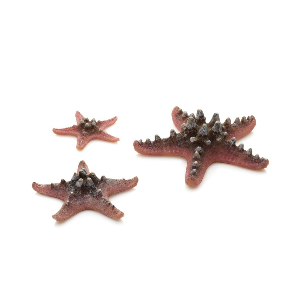 Biorb Aquarium Decor Starfish Set of 3, Ceramic, Yellow Animals & Pet Supplies > Pet Supplies > Fish Supplies > Aquarium Decor Oase Pink  