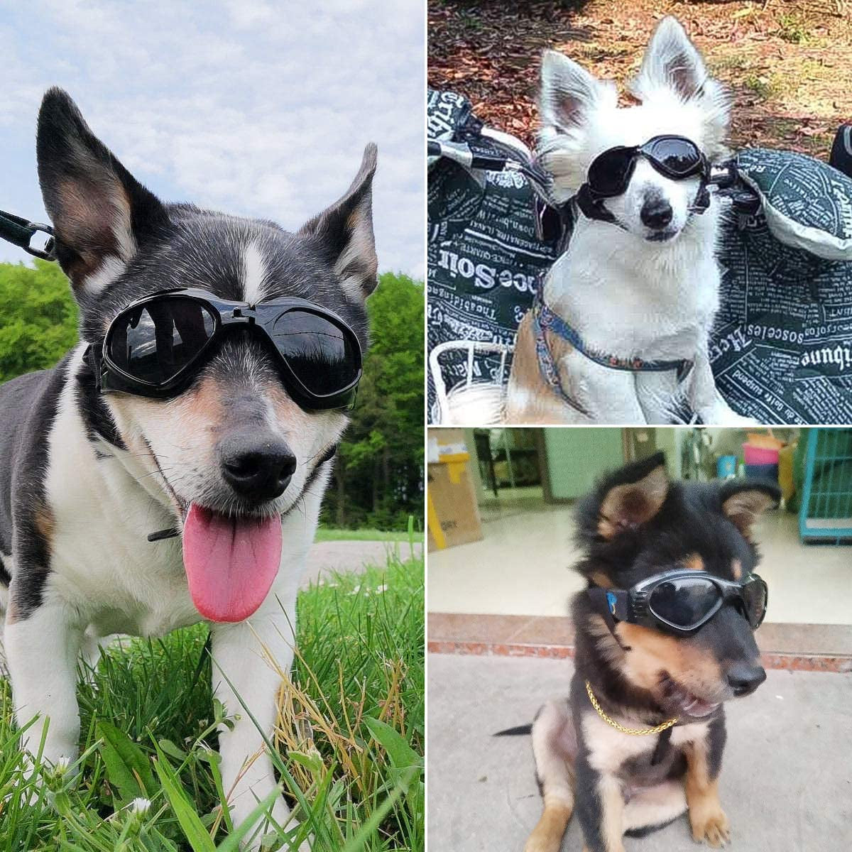 PEDOMUS Dog Goggles Small Dog Sunglasses Adjustable Strap for UV Sunglasses Waterproof Protection for Dogs (Black) Animals & Pet Supplies > Pet Supplies > Dog Supplies > Dog Apparel PEDOMUS   