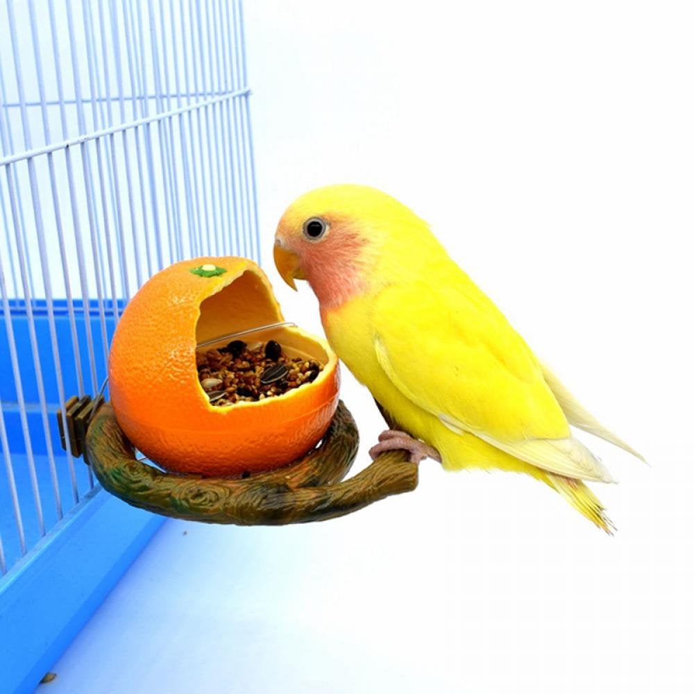 Pet Birds Feeder Bowl, Bird Food Feeding Bowl Feed Cup for Small Parrots Cockatiels Conure Hamster Small Animal Drinking Water Container for Birds Cage Accessories (Apple) Animals & Pet Supplies > Pet Supplies > Bird Supplies > Bird Cage Accessories BOLLSLEY Orange  