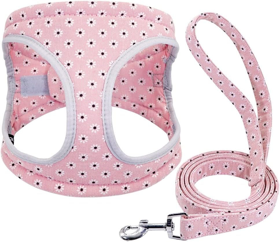 SXNBH Reflective Dog Harness Soft Mesh Pet Puppy Harness Leash Set Fashion Printed Small Medium Dogs Vest Harnesses French Bulldog ( Color : E , Size : Small ) Animals & Pet Supplies > Pet Supplies > Dog Supplies > Dog Apparel chuju C Small 