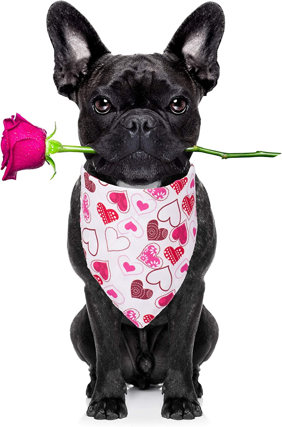 ADOGGYGO Valentine'S Day Dog Bandana Adjustable Reversible Triangle Dog Scarf Pet Bandana for Small Medium Large Dogs Cats Pets Animals & Pet Supplies > Pet Supplies > Dog Supplies > Dog Apparel ADOGGYGO   