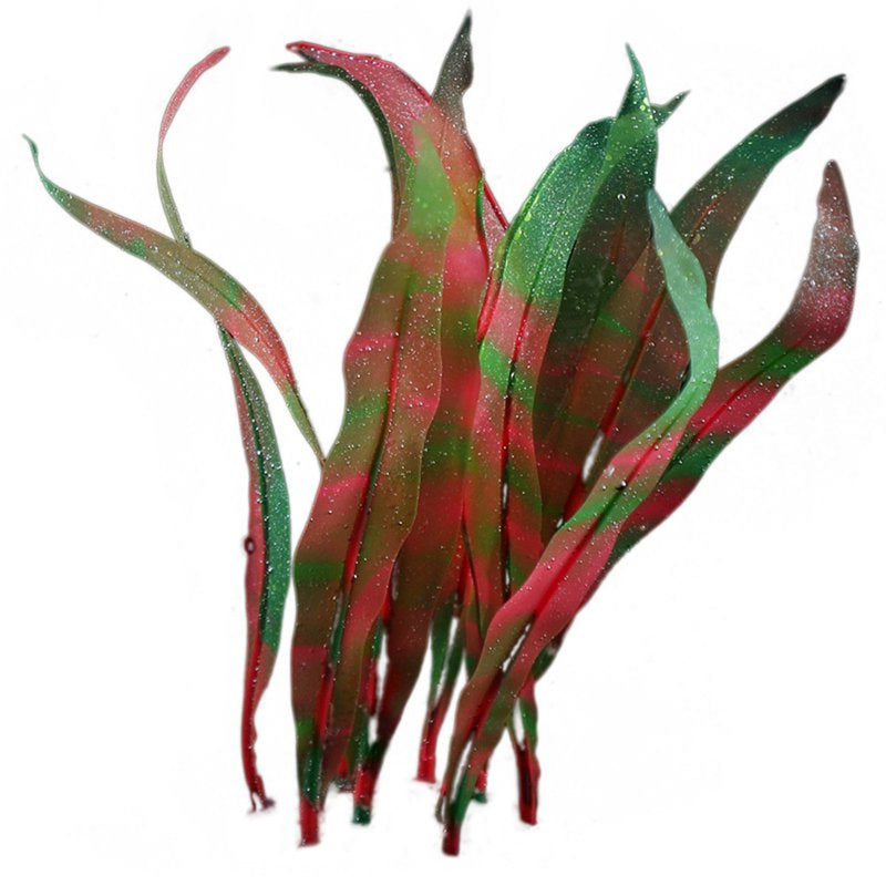 Papaba Artificial Sea Weed,Artificial Sea Weed Plant Kelp Soft Silicone Aquarium Ornament Fish Tank Decor Animals & Pet Supplies > Pet Supplies > Fish Supplies > Aquarium Decor Papaba   