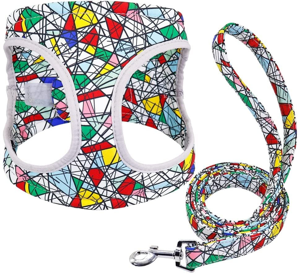 SXNBH Reflective Dog Harness Soft Mesh Pet Puppy Harness Leash Set Fashion Printed Small Medium Dogs Vest Harnesses French Bulldog ( Color : E , Size : Small ) Animals & Pet Supplies > Pet Supplies > Dog Supplies > Dog Apparel chuju   