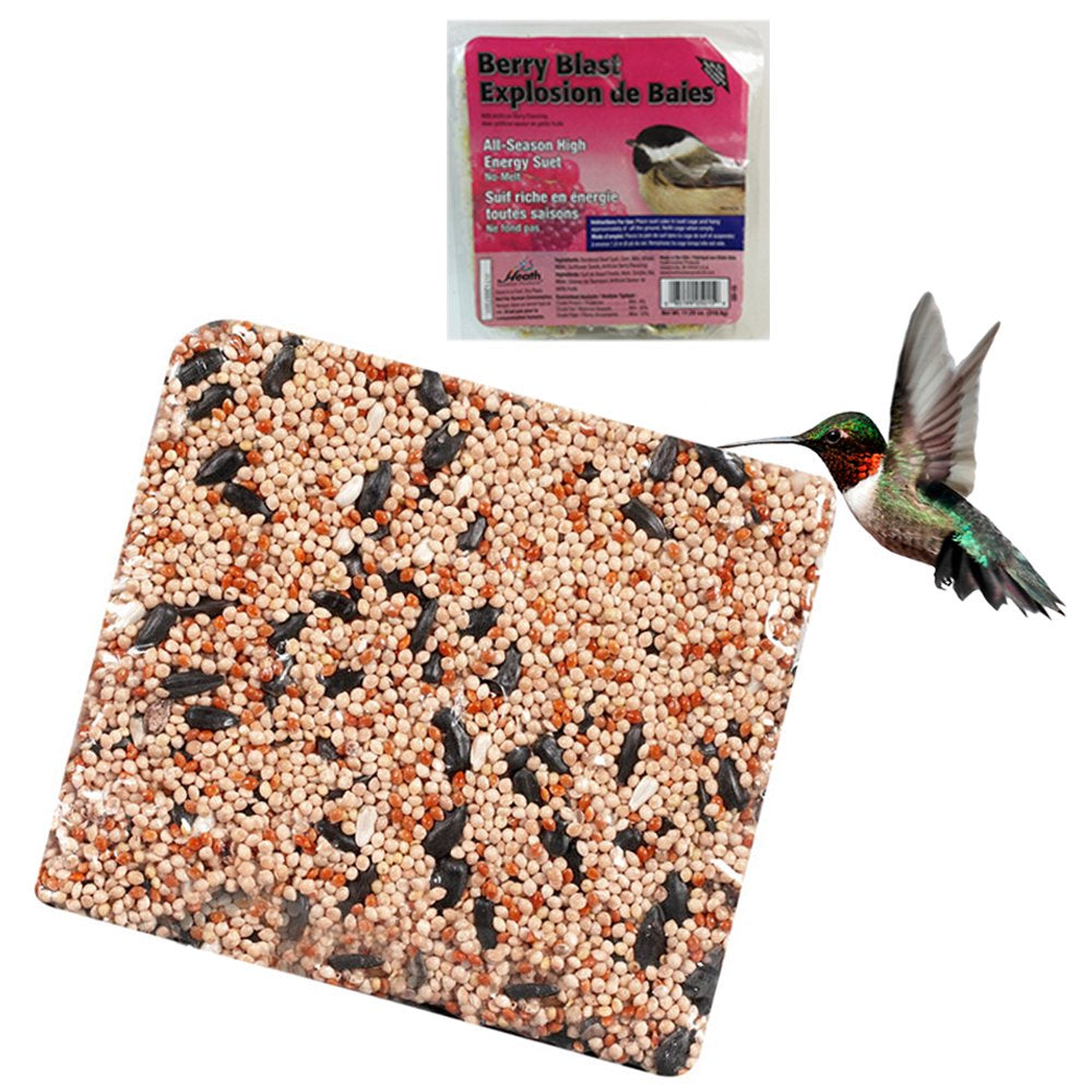 All Season Suet Wild Bird Food Cake Treat 11.25 Oz Heath Outdoor Blueberry Dough Animals & Pet Supplies > Pet Supplies > Bird Supplies > Bird Treats JMK IIT Berry Blast  