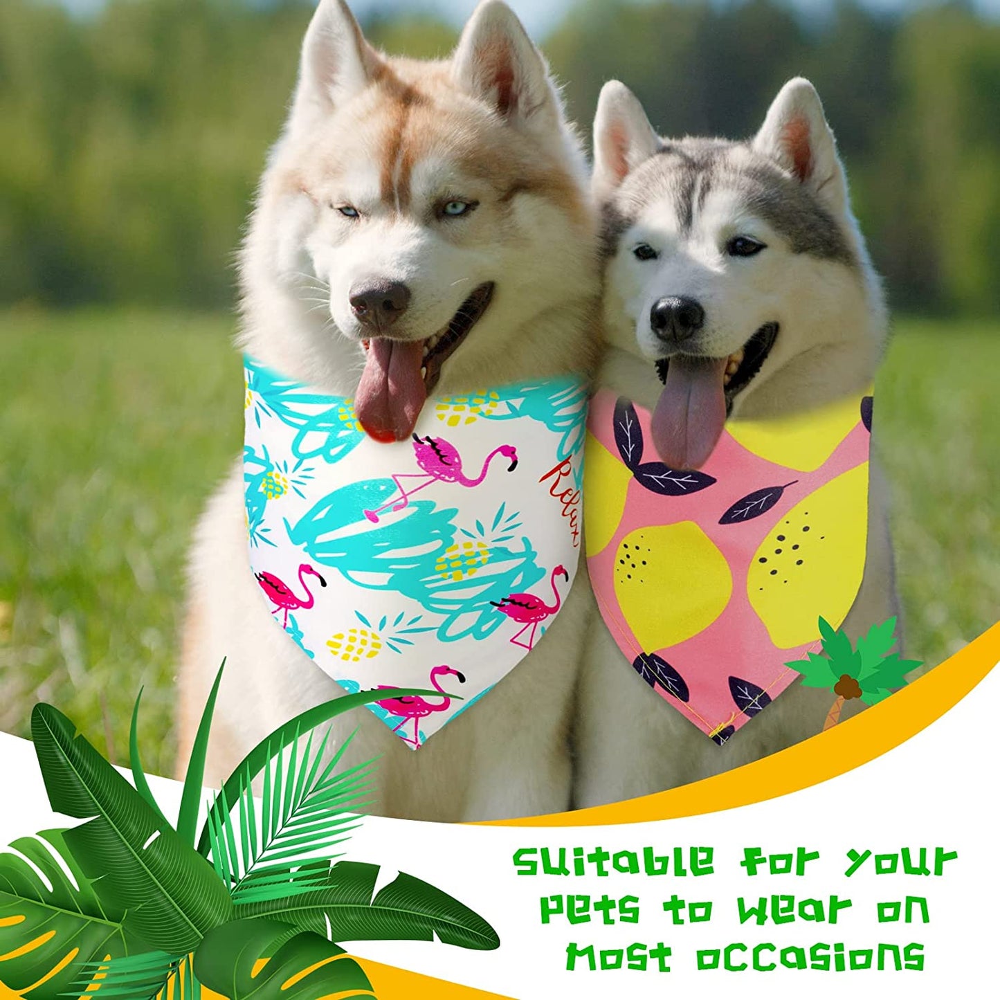 20 Pieces Summer Dog Bandanas Hawaiian Style Dog Bandanas Washable Fruit Dog Bandanas Triangle Dog Bibs PET Scarf Assortment Puppy Kerchief Accessories for Small Medium Pets Dogs Cats (X-Large) Animals & Pet Supplies > Pet Supplies > Dog Supplies > Dog Apparel Frienda   