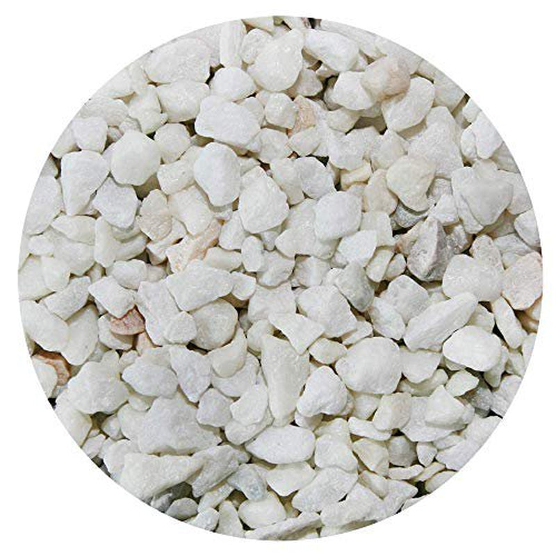 Spectrastone Special White Aquarium Gravel for Freshwater Aquariums, 5-Pound Bag Animals & Pet Supplies > Pet Supplies > Fish Supplies > Aquarium Gravel & Substrates Spectrastone   