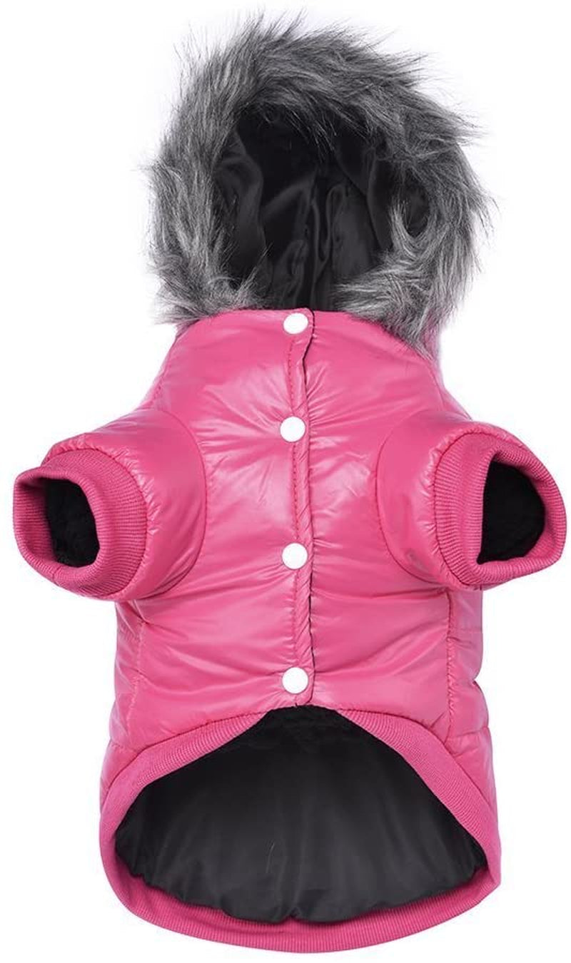 Lesypet Dog Coats for Small Dogs, Dog Jacket Warm Dog Winter Coat Windproof Puffer Jacket for Small Dogs Puppy, Pink S Animals & Pet Supplies > Pet Supplies > Dog Supplies > Dog Apparel LESYPET Pink Medium 