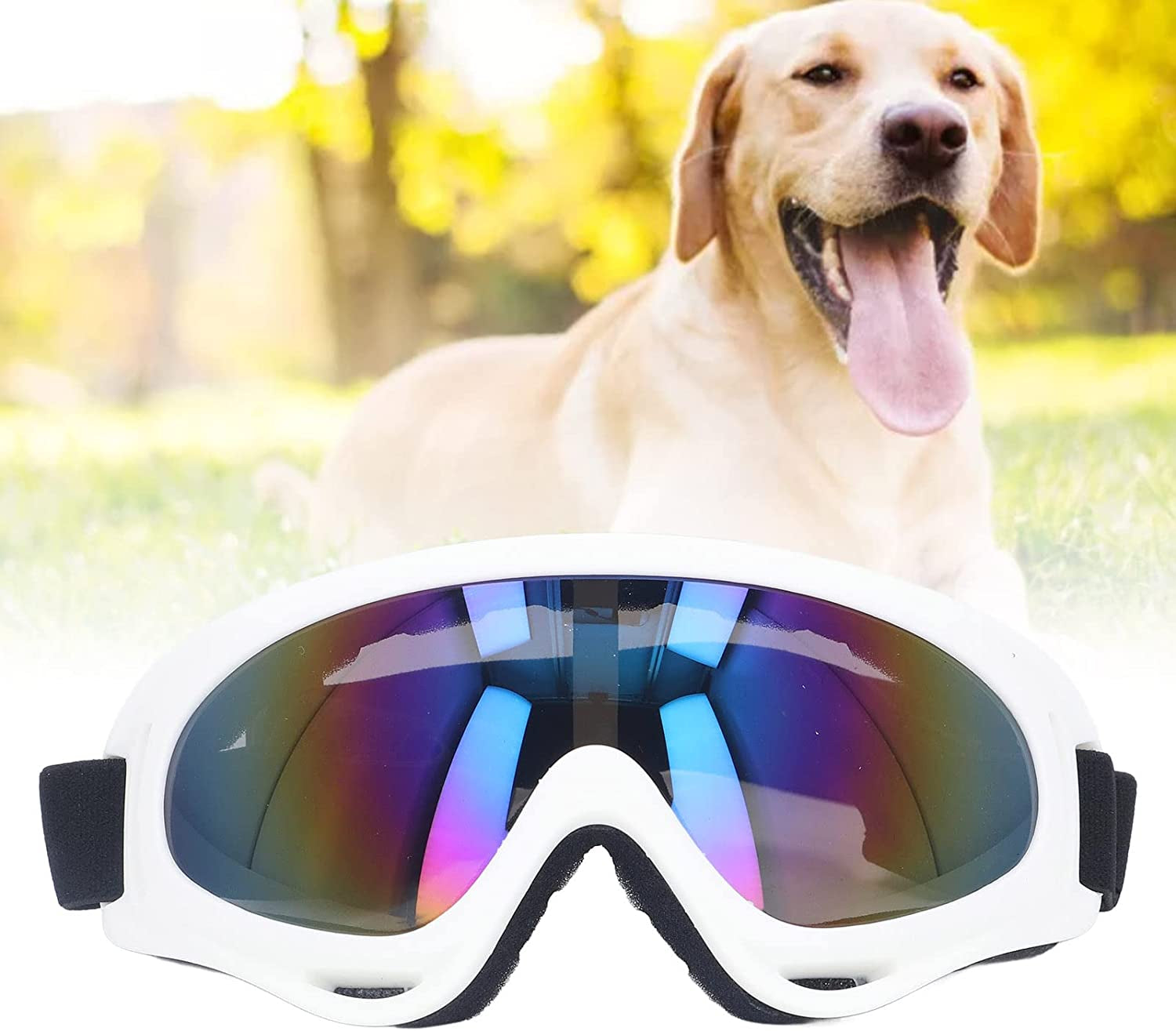 Dog Protective Sunglasses, Windproof Large Dog Goggles Tinted Lens Straps UV Protection Comfortable Frame Dog Accessories for Riding Motorcycle Hiking Animals & Pet Supplies > Pet Supplies > Dog Supplies > Dog Apparel BTIHCEUOT   