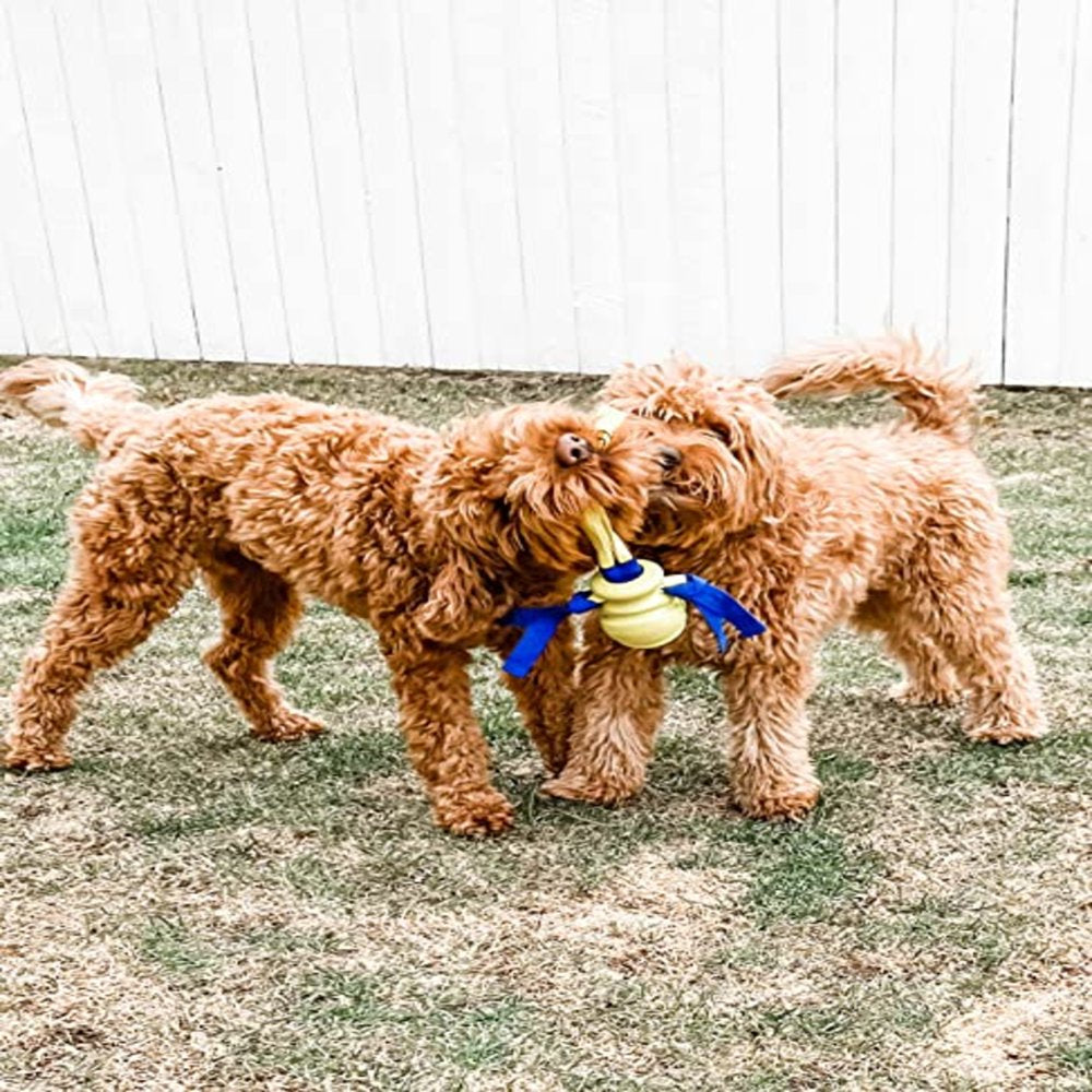 Nylabone Power Play Dog Fetch Toys Fling-A-Bounce Medium - 10 In. Animals & Pet Supplies > Pet Supplies > Dog Supplies > Dog Toys Central Garden and Pet   