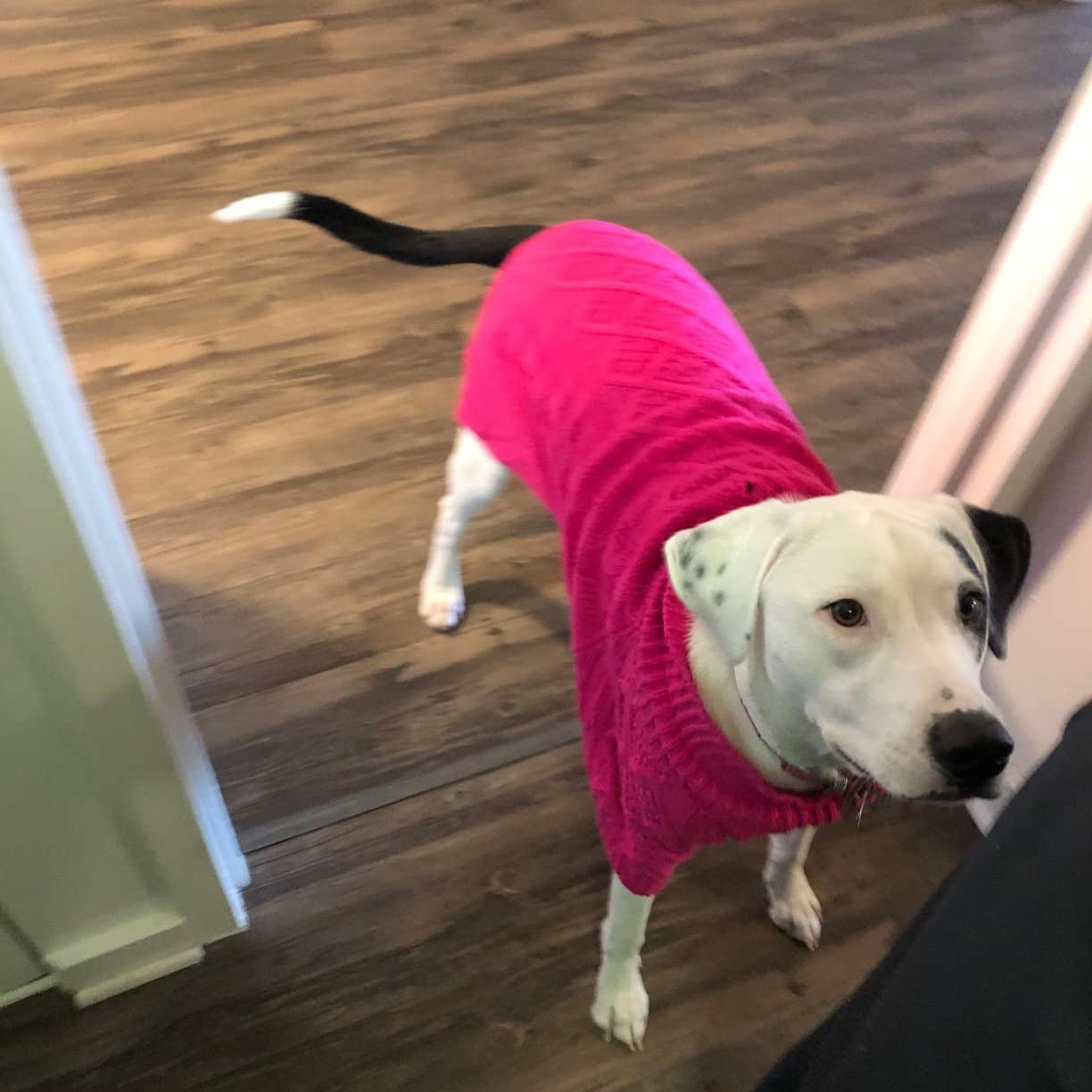 PUPTECK Classic Cable Knit Dog Sweater - Pet Turtleneck Coat Puppy Winter Clothes Pink Medium Animals & Pet Supplies > Pet Supplies > Dog Supplies > Dog Apparel Beibao   