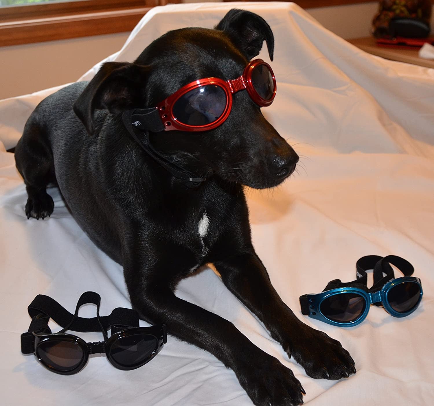 Lovewally Dog Goggles Red Sunglasses Shatterproof and 100& UV Protection Animals & Pet Supplies > Pet Supplies > Dog Supplies > Dog Apparel LoveWally   