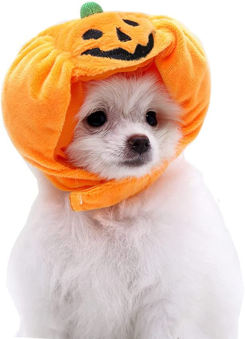 Yolsun Cat Halloween Pumpkin Costume Puppy Kitten Pumpkin Hat Headdress for Halloween Cosplay Dress Up Animals & Pet Supplies > Pet Supplies > Dog Supplies > Dog Apparel YOLSUN   