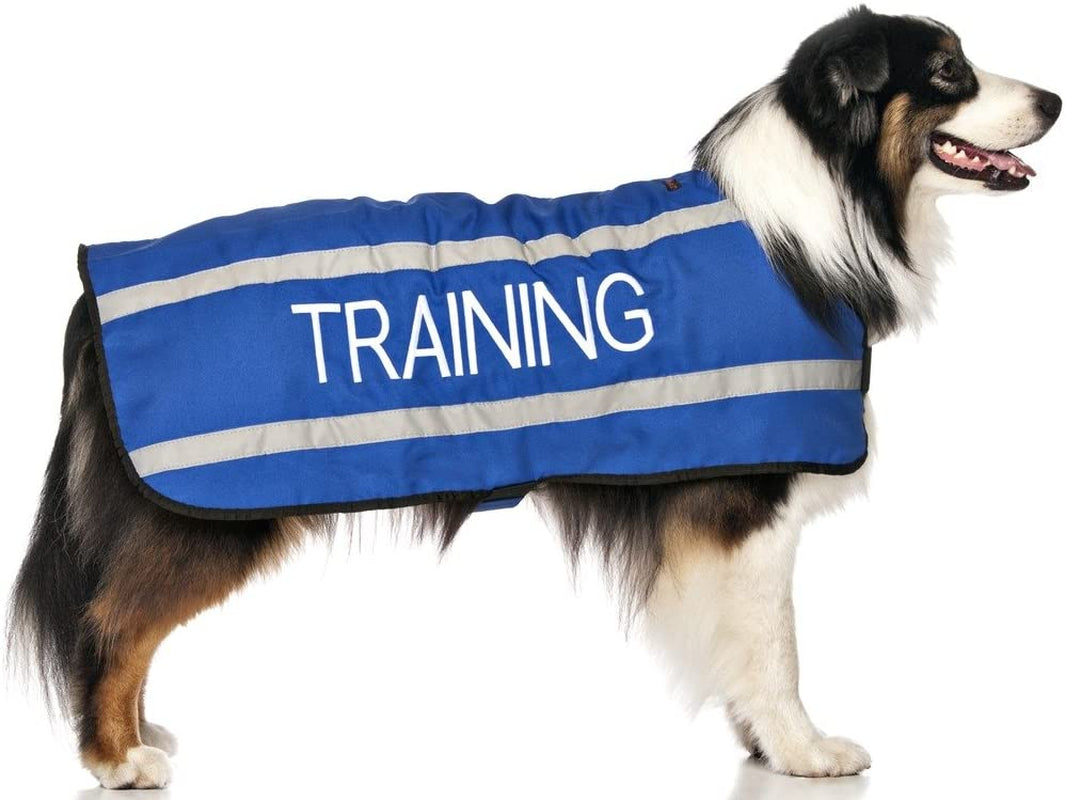 Dexil Limited Training Blue Warm Dog Coats S-M M-L L-XL Waterproof Reflective Fleece Lined (Do Not Disturb) Prevents Accidents by Warning Others of Your Dog in Advance (L-XL Back 23" (59Cm) Animals & Pet Supplies > Pet Supplies > Dog Supplies > Dog Apparel FriendlyDogCollars   