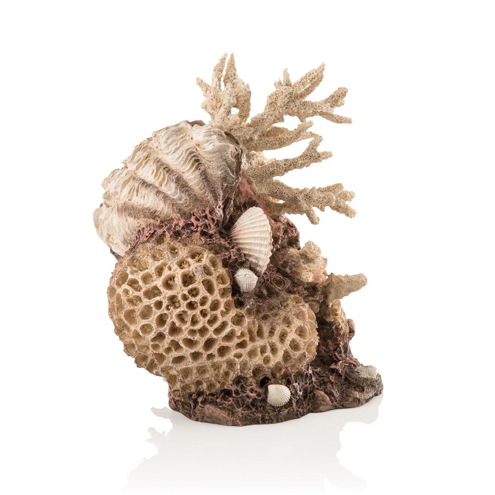 Coral-Shells Sculpture Natural Animals & Pet Supplies > Pet Supplies > Fish Supplies > Aquarium Decor OASE   