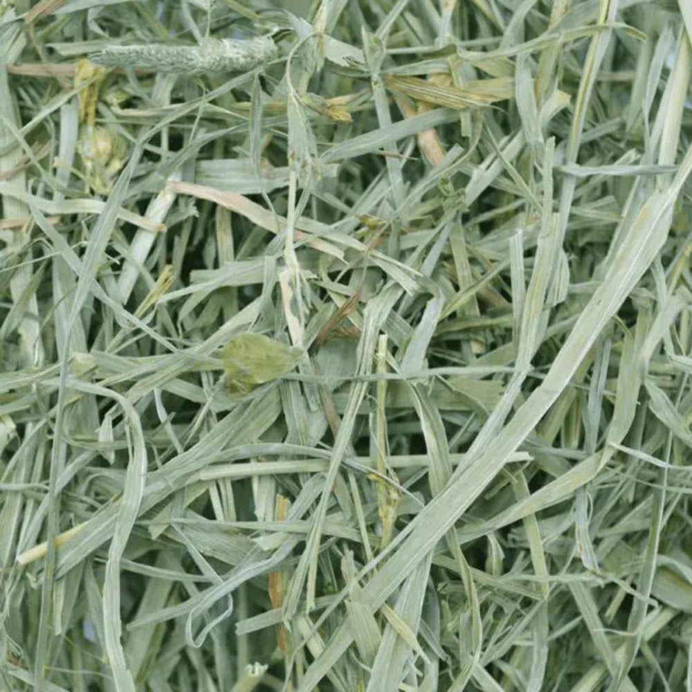 Oxbow Timothy Meadow Hay 35 Oz. Animals & Pet Supplies > Pet Supplies > Small Animal Supplies > Small Animal Food unknown   