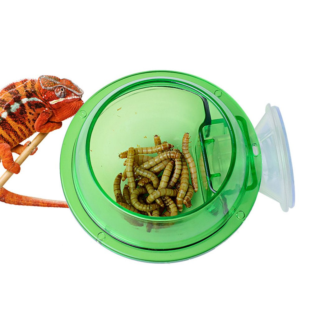 Suction Cup Reptiles Feeder Anti-Escape Amphibians Drinker Bowl Worm Container Animals & Pet Supplies > Pet Supplies > Reptile & Amphibian Supplies > Reptile & Amphibian Food HOMSINO   