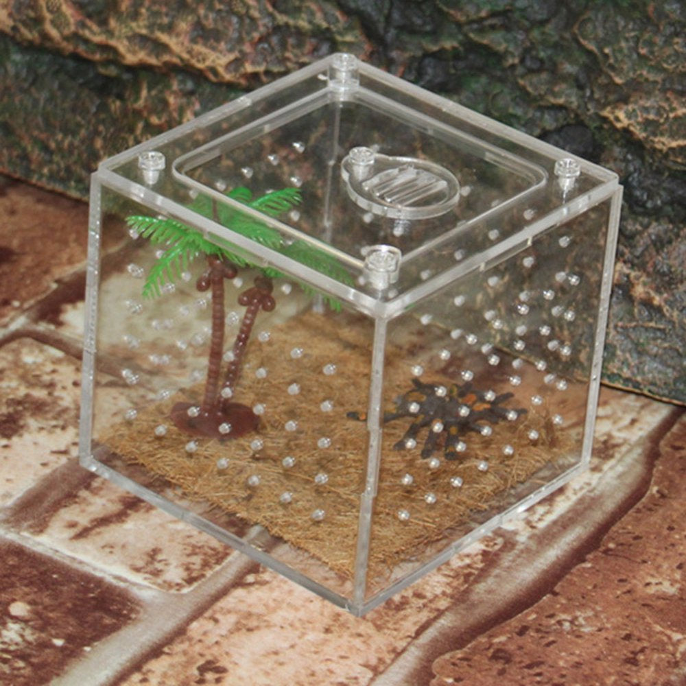 Reptile Acrylic Cage Breeding Habitat Lizard Amphibian Frog Spider Box 10X10X10Cm