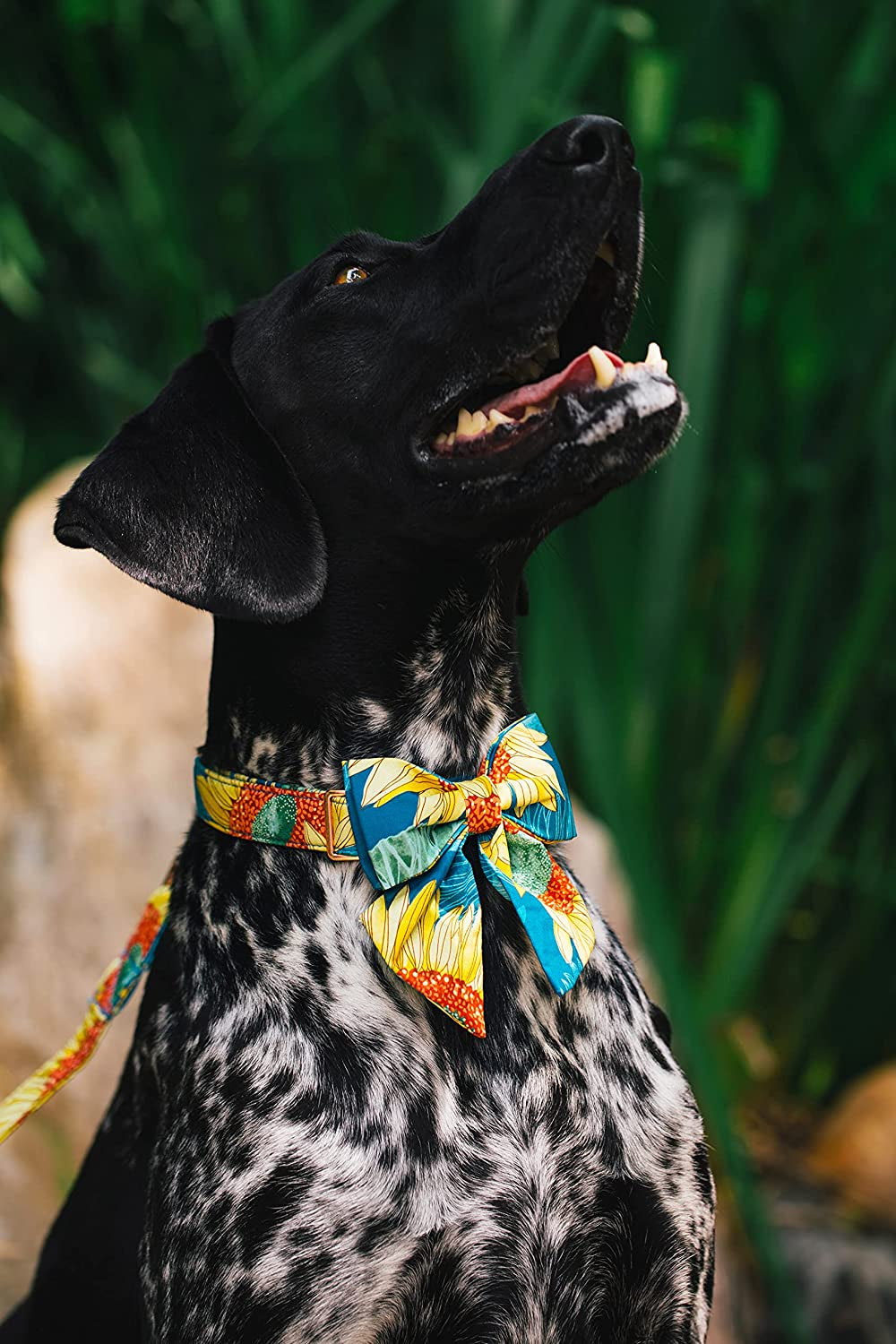 Unique Style Paws Spring Flory Print Dog Collar, Puppy Collar with Bowtie, Adjustable Dog Collar Pet Gift for Small Medium Large Dogs Animals & Pet Supplies > Pet Supplies > Dog Supplies > Dog Apparel Unique style paws   