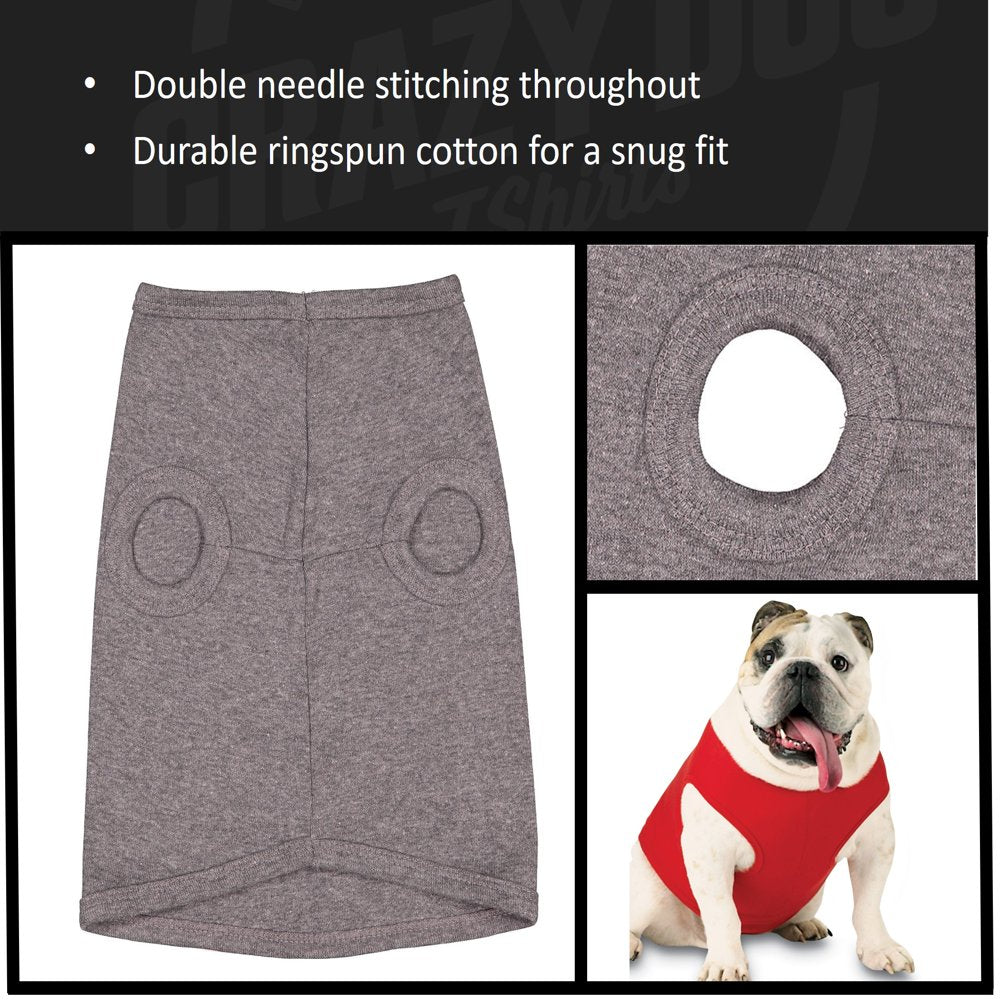 Dog Shirt Always Hungry Hilarious Dog Apparel Clothes for Small Breed (Heather Grey) - M Animals & Pet Supplies > Pet Supplies > Dog Supplies > Dog Apparel Crazy Dog T-Shirts   