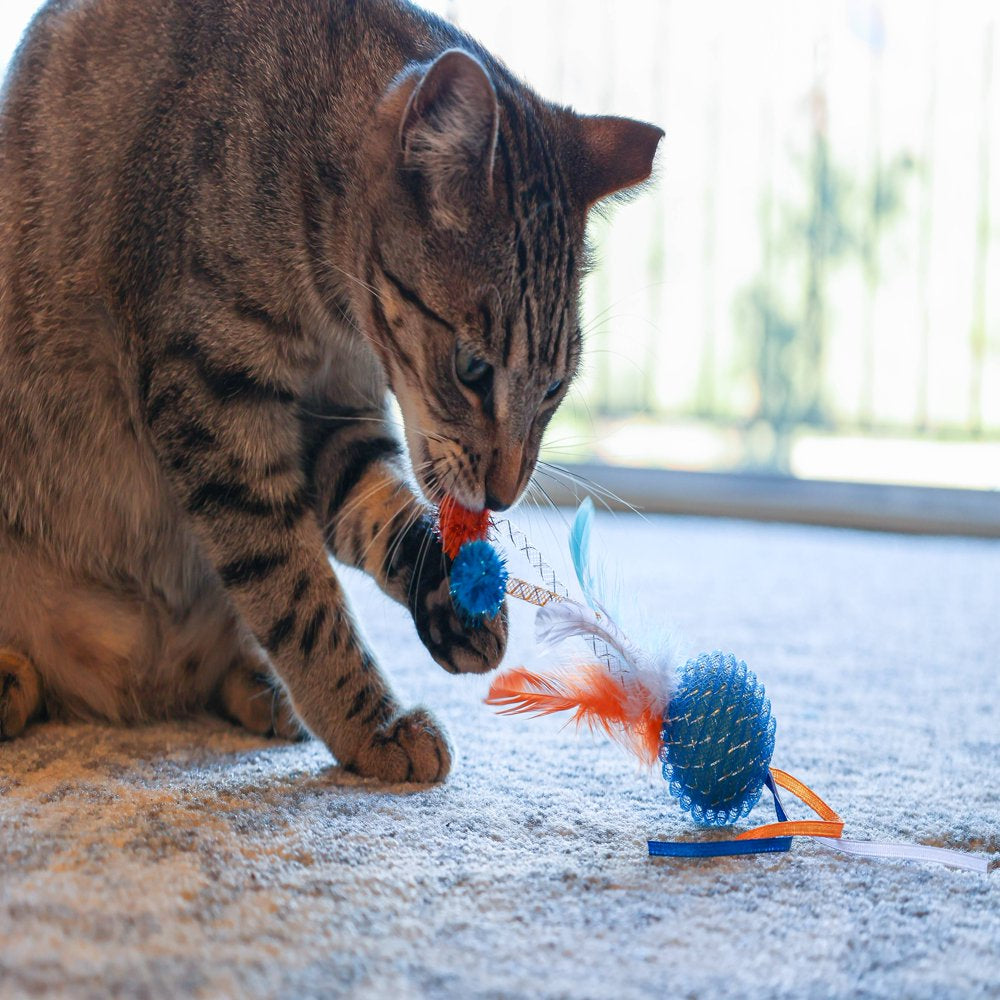 Vibrant Life Mesh Feather Ball Cat Toy, Color May Vary Animals & Pet Supplies > Pet Supplies > Cat Supplies > Cat Toys Multipet   