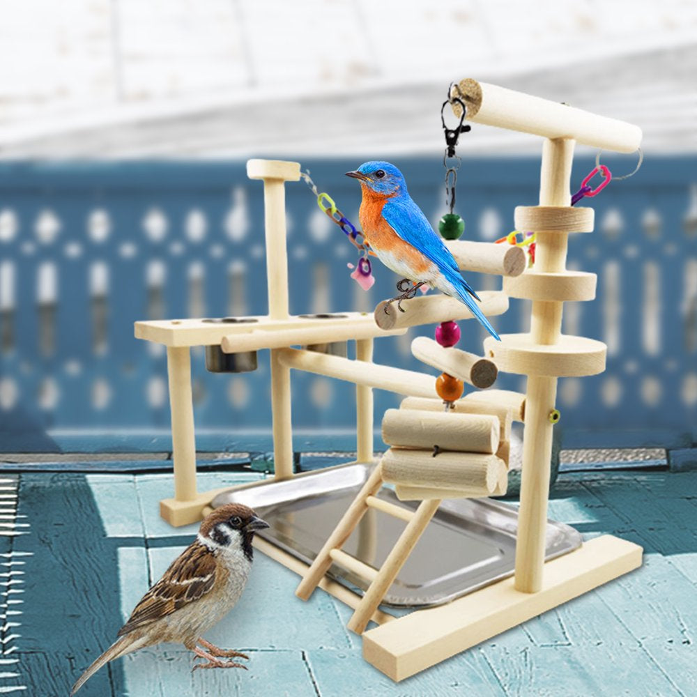Bird Playground Parrot Playstand Cockatiel Play Perch Gym Playpen Ladder Swing Chew Toy with Feeder Cups for Accessories Exercise Platform