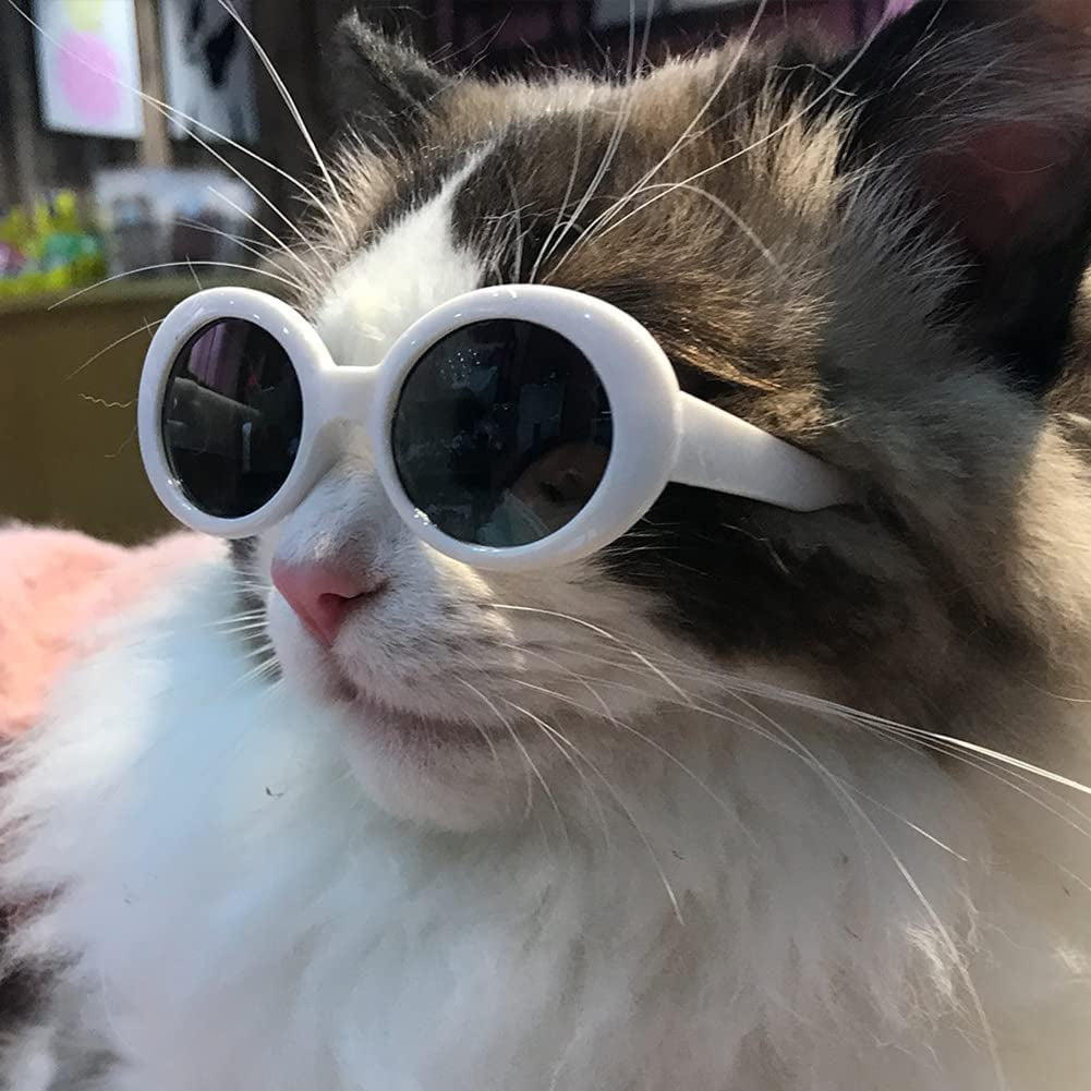 Gigicloud Small Cat Glasses Pet Sunglasses Windproof Dustproof round Dog Glasses Pet Sunglasses for Small Medium Dogs Cats Party Cosplay Costume Photo Prop Animals & Pet Supplies > Pet Supplies > Dog Supplies > Dog Apparel Gigicloud   