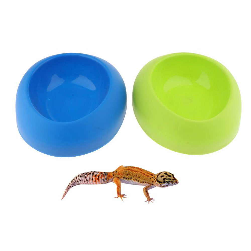 Food Bowl Resin Feeder Water Dish for Tortoise Gecko Reptile Cup Feeding Bowl Turtle Amphibian Feeding Container Random Animals & Pet Supplies > Pet Supplies > Reptile & Amphibian Supplies > Reptile & Amphibian Food FITYLE   