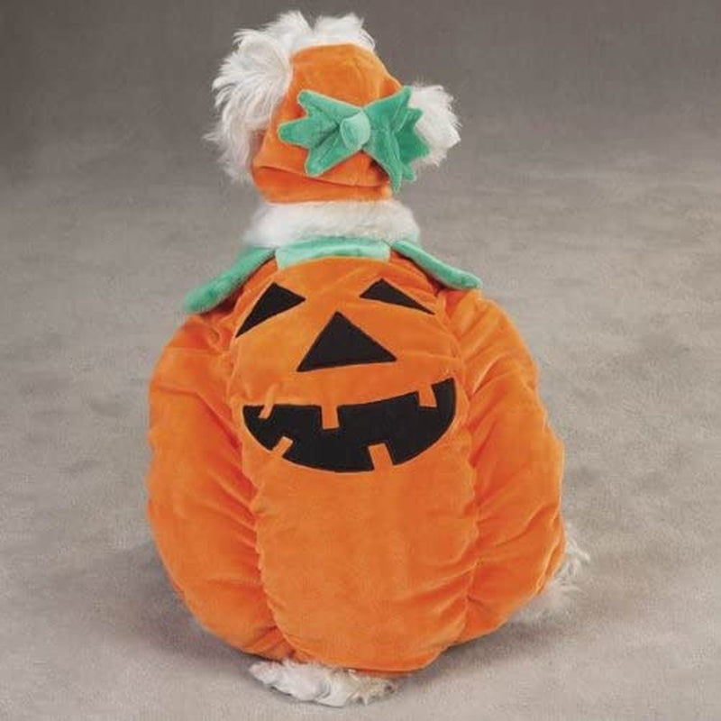 Zack & Zoey Pumpkin Pooch Dog Costume, X-Large, Orange Animals & Pet Supplies > Pet Supplies > Dog Supplies > Dog Apparel PetEdge Dealer Services   