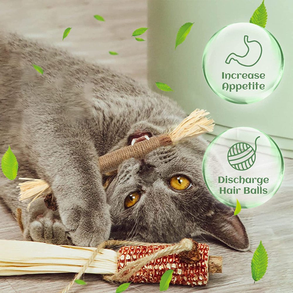 Carkira Catnip 4 Pieces Silver Vine Cat Chew Toys Cats Clean Teeth Chews for Stress Relief Animals & Pet Supplies > Pet Supplies > Cat Supplies > Cat Toys Carkira   