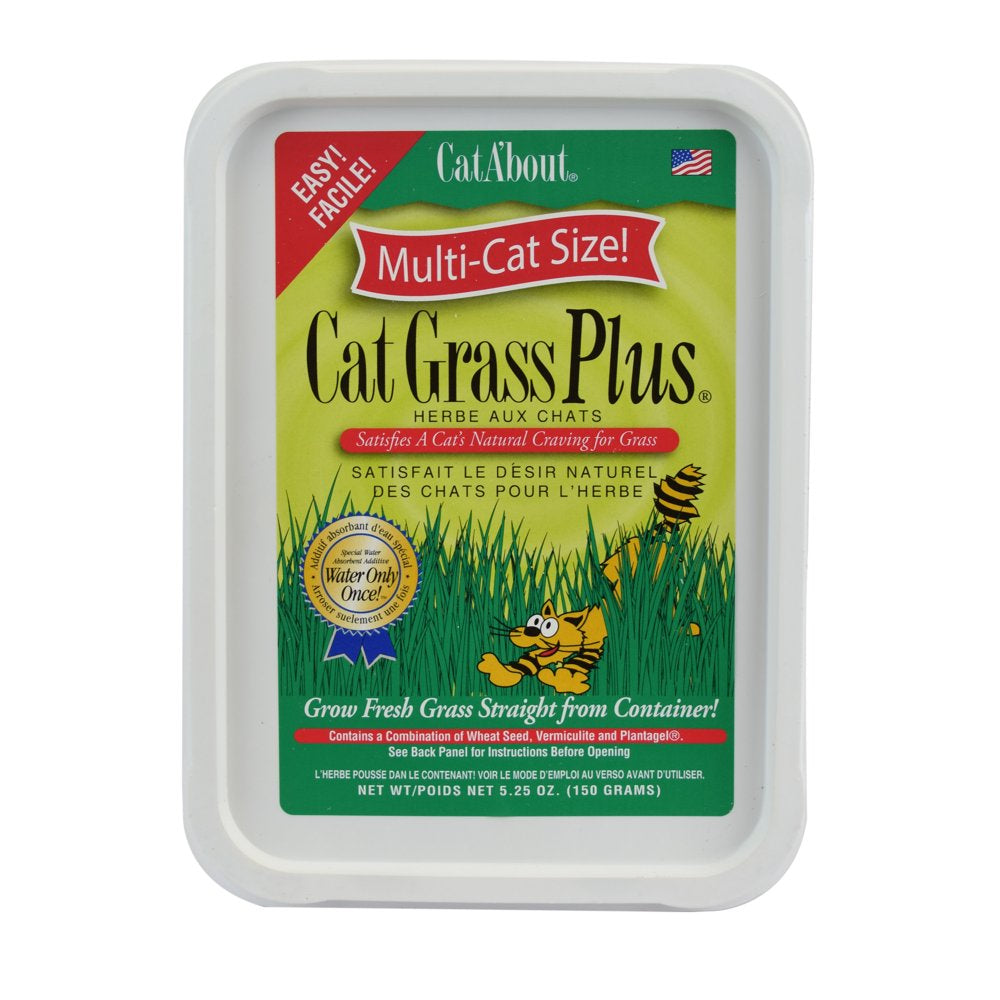 Cat A'Bout Cat Grass Plus, 150 Gram Tub Animals & Pet Supplies > Pet Supplies > Cat Supplies > Cat Treats MiracleCorp Products   