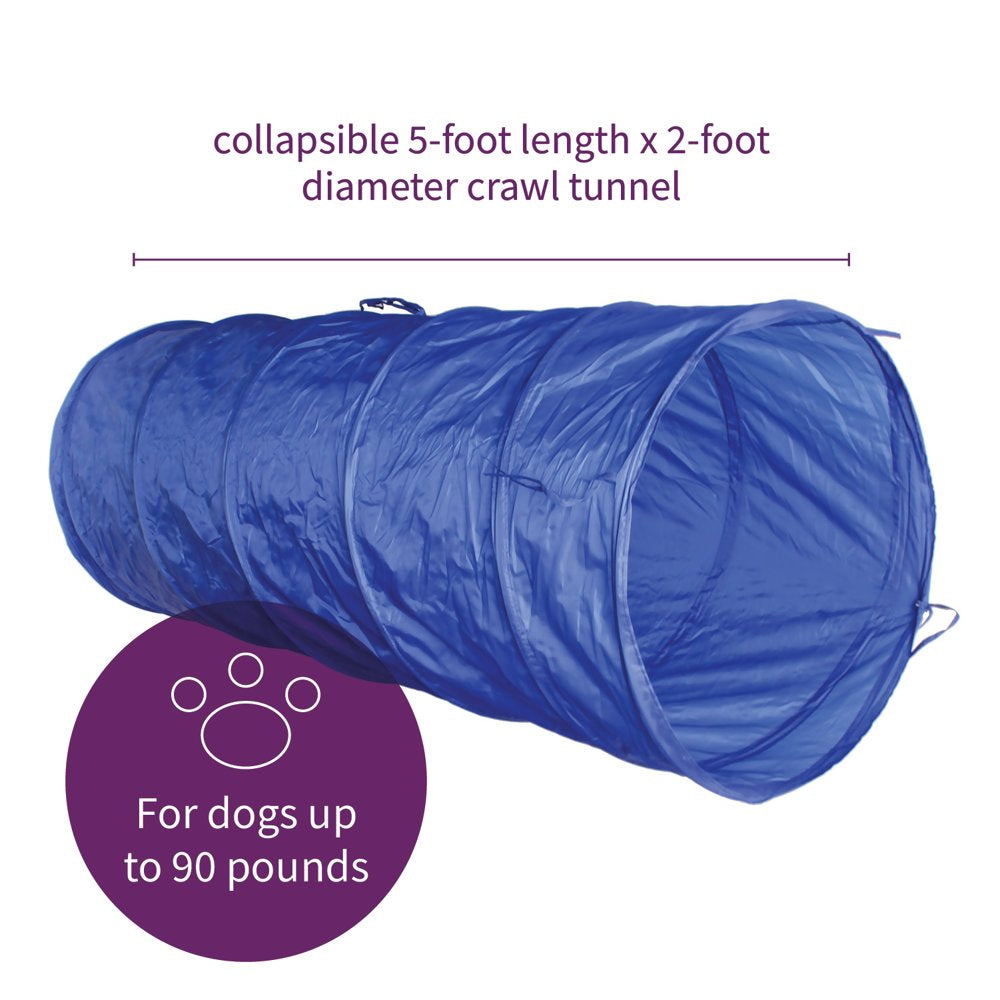 Mimu Dog Agility Equipment Obstacle Course with Small Tunnel - Weave - Jump Animals & Pet Supplies > Pet Supplies > Dog Supplies > Dog Treadmills MiMu   