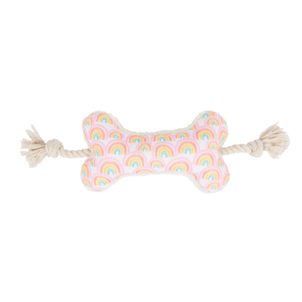 Vibrant Life Rainbow Bone with Rope Dog Toy
