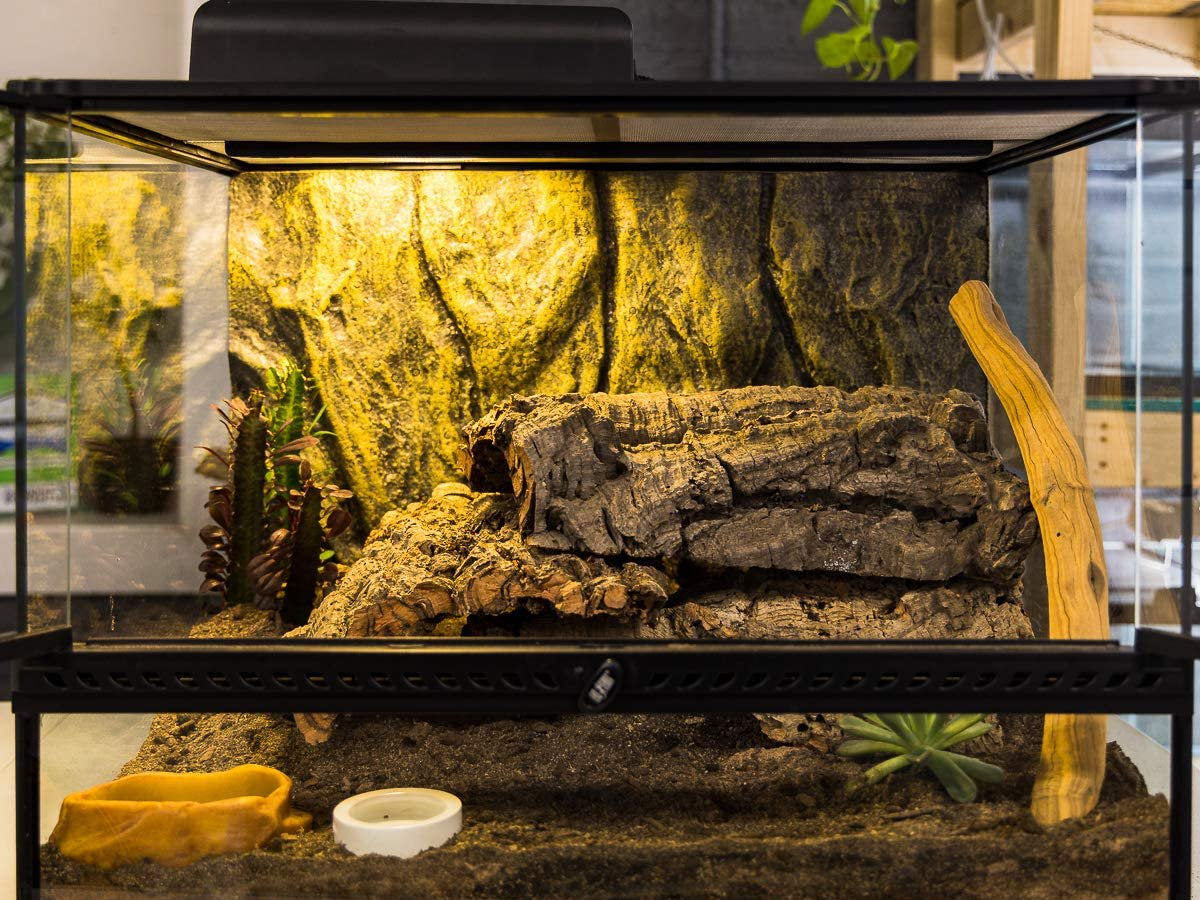 Josh'S Frogs Biobedding Desert Bioactive Substrate (4 Quarts) Animals & Pet Supplies > Pet Supplies > Fish Supplies > Aquarium Gravel & Substrates Josh's Frogs   