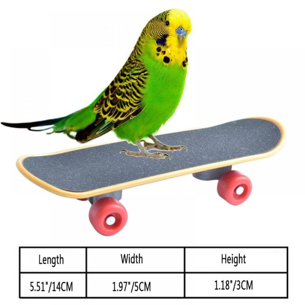 Pet Bird Toys Parrot Toys Funny Intelligence Skateboard Toy Stand Perch Toy for Parakeet Cockatiels Bird Training Accessories
